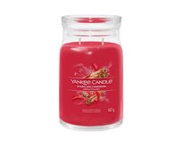 Yankee Candle vonná svíčka Signature ve skle velká Sparkling Cinnamon 567 g Červená