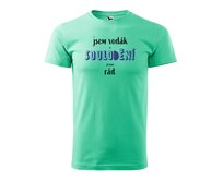 DOBRÝ TRIKO Pánské vodácké tričko SOULODĚNÍ Velikost: 2XL, Barva: Mátová Mátová, 2XL