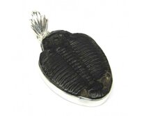 AutorskeSperky.com - Stříbrný přívěsek s trilobitem -  S5543 Stříbro