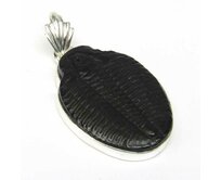 AutorskeSperky.com - Stříbrný přívěsek s trilobitem -  S5544 Stříbro