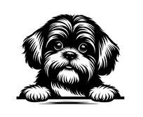 Samolepka pes Shih-tzu