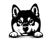 Samolepka pes Shiba-Inu