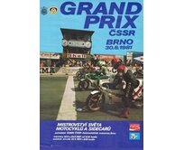 Plechová retro cedule / plakát - Grand Prix 1981 Provedení:: Plechová cedule A5 cca 20 x 15 cm