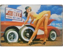 Plechová retro cedule / plakát - Car Girl I Provedení:: Plechová cedule A5 cca 20 x 15 cm