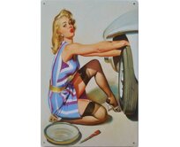 Plechová retro cedule / plakát - Car Girl II Provedení:: Papírový obraz v rámu A4