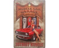 Plechová retro cedule / plakát - Detroit Muscle Provedení:: Papírový obraz v rámu A4