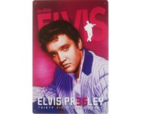 Plechová retro cedule / plakát - Elvis II Provedení:: Plechová cedule A5 cca 20 x 15 cm