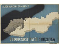 Plechová retro cedule / plakát - Budoucnost patří střízlivým Provedení:: Papírový obraz v rámu A4