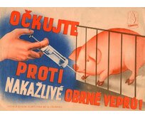 Plechová retro cedule / plakát - Očkujte Provedení:: Papírový obraz v rámu A4