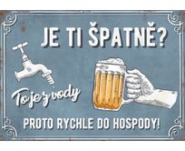 Plechová retro cedule / plakát  - Je ti špatně? To je z vody Provedení:: Papírový obraz v rámu A4