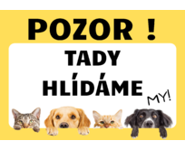 Plechová cedulka 20 x 15 cm – Tady hlídáme My! Barva cedulky: Žlutá