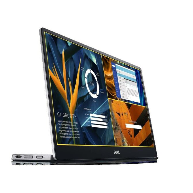 DELL P1424H 14" LED/1920x1080 FHD/700:1/6ms/DP/USB-C/přenosný/stříbrný