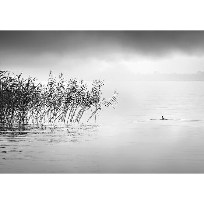 Dekoria Obraz na plátně By the Lake II, 100 x 70 cm 