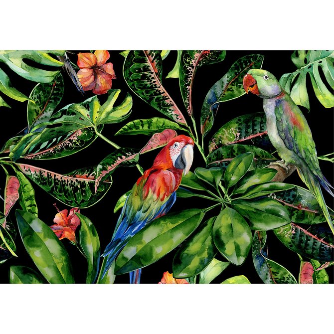 Dekoria Obraz na płátně Tropical Birds, 100 x 70 cm