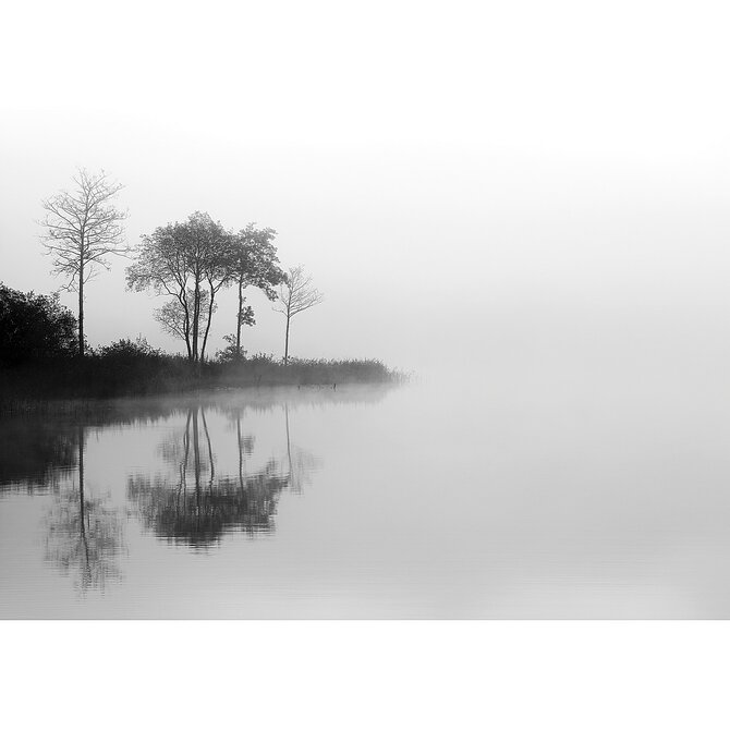 Dekoria Obraz na plátně By the Lake I, 70 x 100 cm