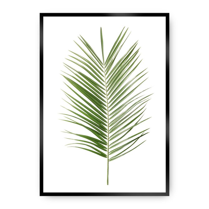 Dekoria Plakát Palm Leaf Green, 21 x 30 cm, Vybrat rám: Černý