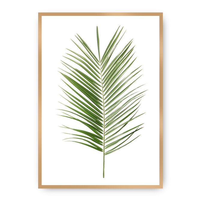 Dekoria Plakát Palm Leaf Green, 30 x 40 cm, Vybrat rám: Zlatý