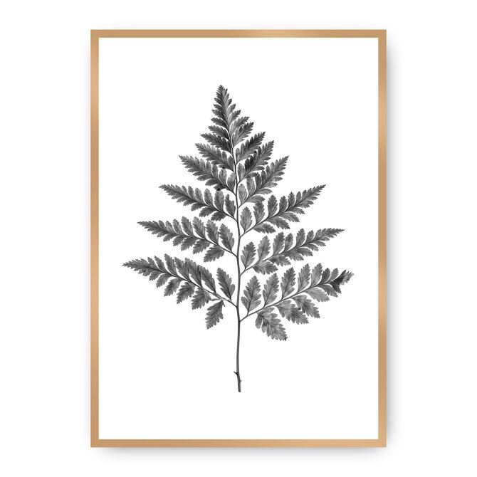 Dekoria Plakát Fern Grey, 21 x 30 cm, Ramka: Złota