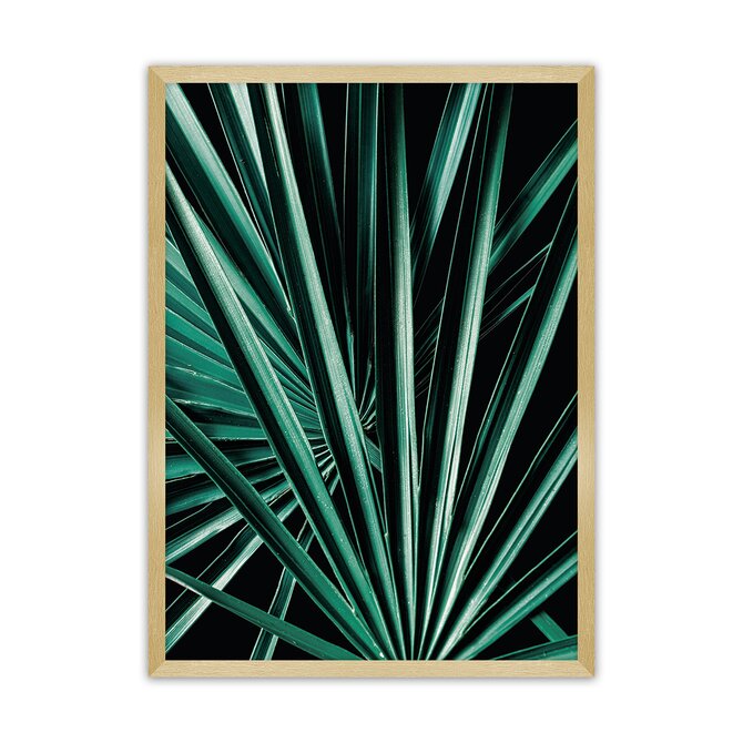 Dekoria Plakát Dark Palm Tree, 21 x  30 cm, Volba rámku: Zlatý