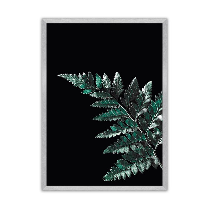 Dekoria Plakát Dark Fern Leaf, 21 x  30 cm, Volba rámku: Stříbrný