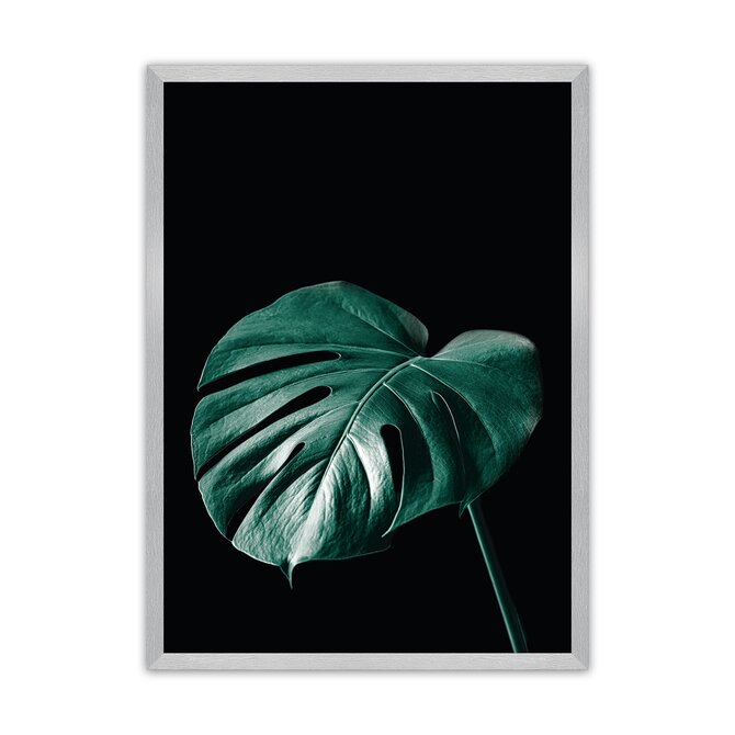 Dekoria Plakát Dark Monstera, 21 x  30 cm, Volba rámku: Stříbrný