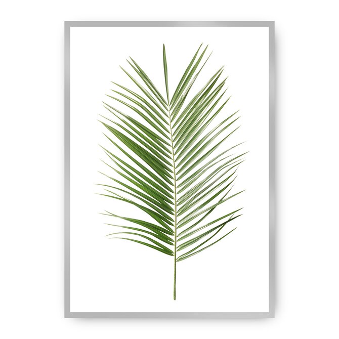 Dekoria Plakát Palm Leaf Green, 40 x 50 cm, Vybrat rám: Stříbrný