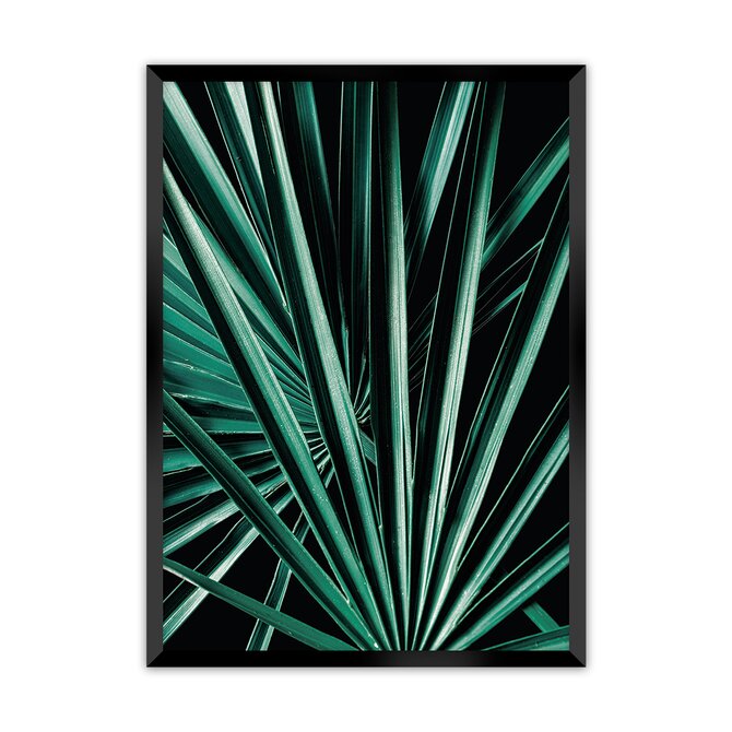 Dekoria Plakát Dark Palm Tree, 50 x 70 cm, Volba rámku: Černý