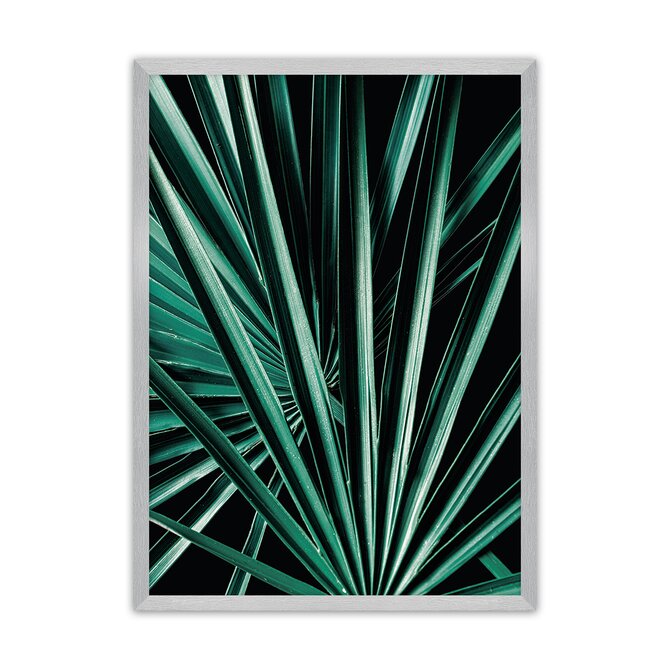 Dekoria Plakát Dark Palm Tree, 50 x 70 cm, Volba rámku: Stříbrný