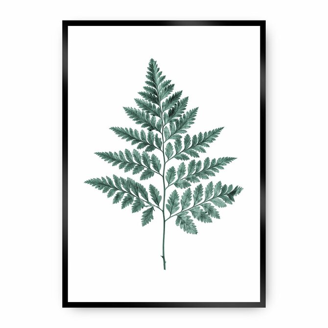 Dekoria Plakát Fern Emerald Green, 21 x 30 cm, Ramka: Czarna