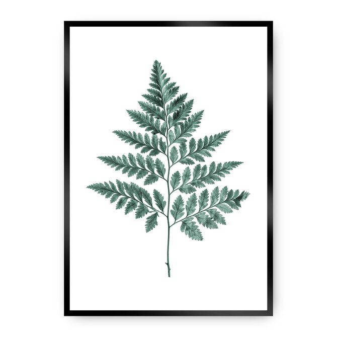 Dekoria Plakát Fern Emerald Green, 30 x 40 cm, Ramka: Czarna