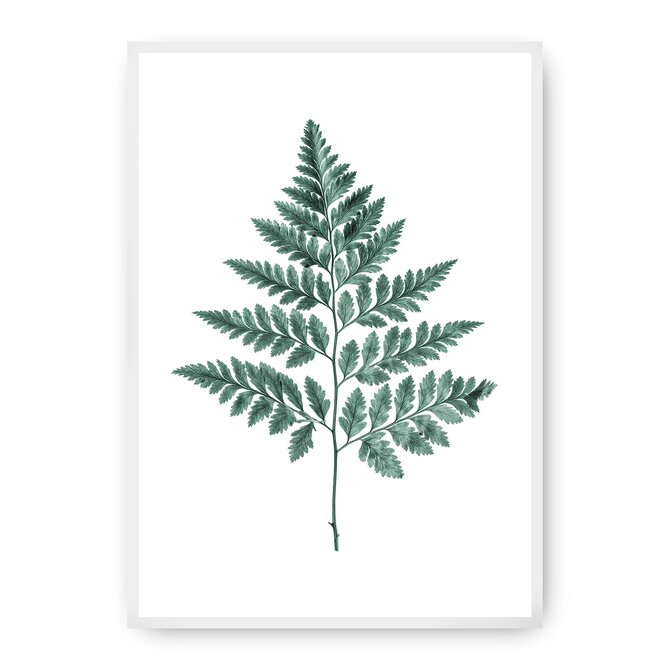 Dekoria Plakát Fern Emerald Green, 50 x 70 cm, Ramka: Biała