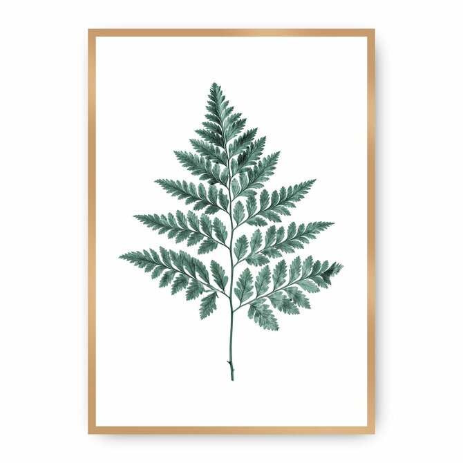 Dekoria Plakát Fern Emerald Green, 50 x 70 cm, Ramka: Złota