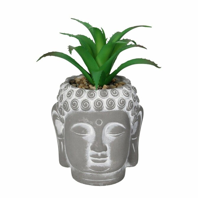 Dekoria Dekorace Aloe Buddha 17cm, 10 x 10 0x 17 cm