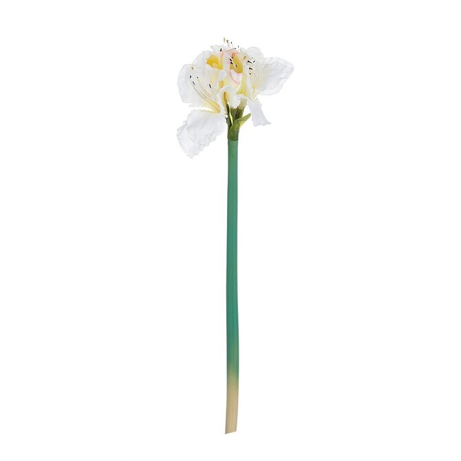 Dekoria Květina um. Amaryllis White 75cm, 75 cm