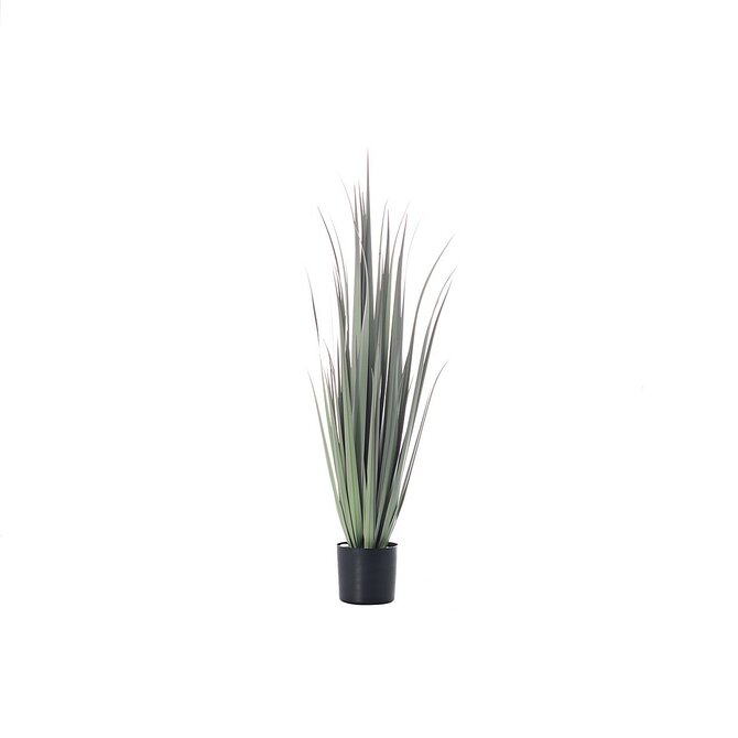 Dekoria Rostlinná dekorace Grass výška 92cm, 92 cm