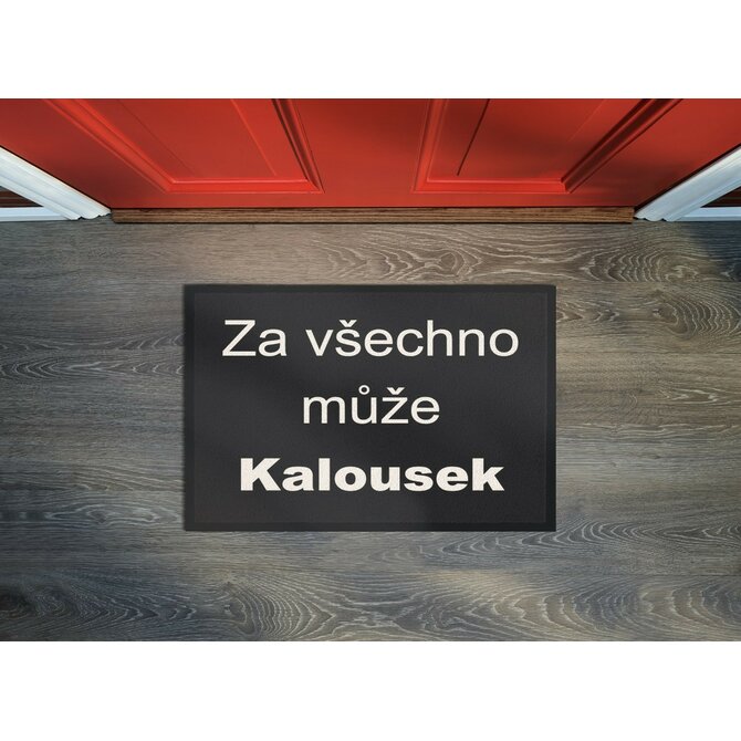 Rohožka Kalousek 40x60 cm - 40x60 cm Černá, Malé (80x150 cm a menší), Syntetický (umělý)