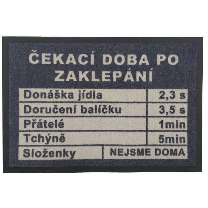 Rohožka Čekací doba 40x60 cm - 40x60 cm Šedá, Malé (80x150 cm a menší), Syntetický (umělý)