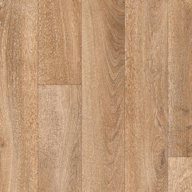 Tarkett AKCE: 150x500 cm PVC podlaha Asolo Wood French Oak grey beige  - dub - Rozměr na míru cm Hnědá, Velké (190x270 cm a větší), Syntetický (umělý)