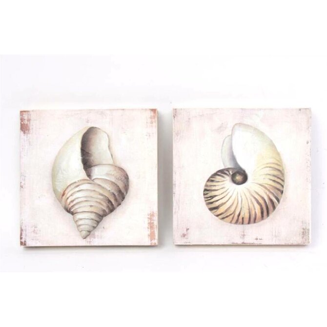 Obraz "SHELLS-wood" 20x20x3/2dr.