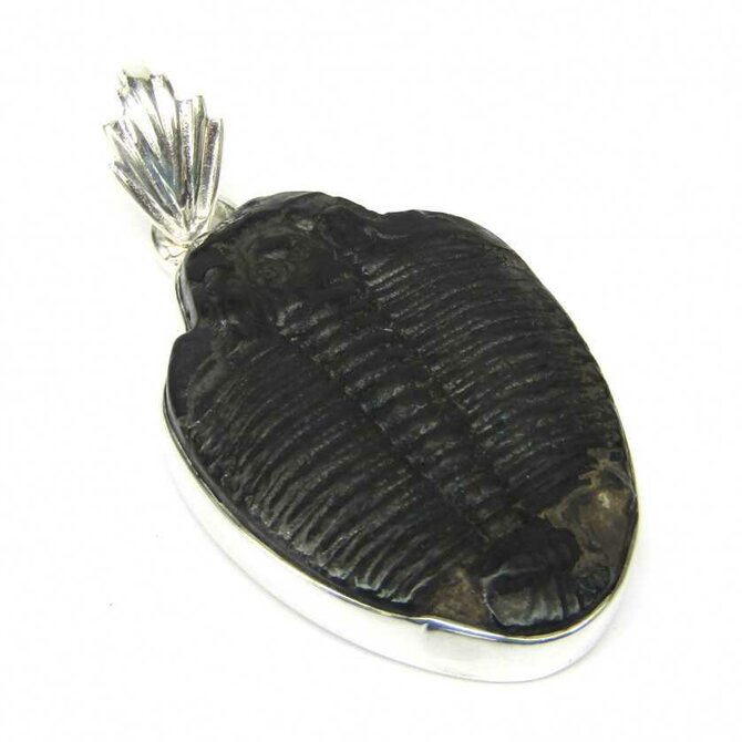 AutorskeSperky.com - Stříbrný přívěsek s trilobitem -  S5543 Stříbro