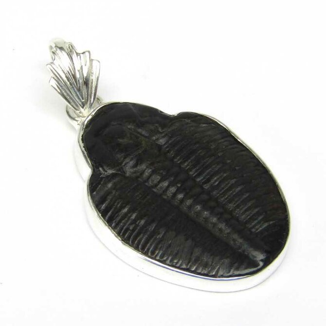 AutorskeSperky.com - Stříbrný přívěsek s trilobitem -  S5545 Stříbro