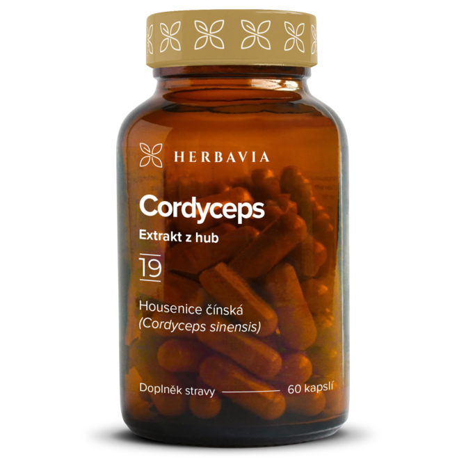 Cordyceps  bylinný extrakt - 60 kapslí / Herbavia.cz