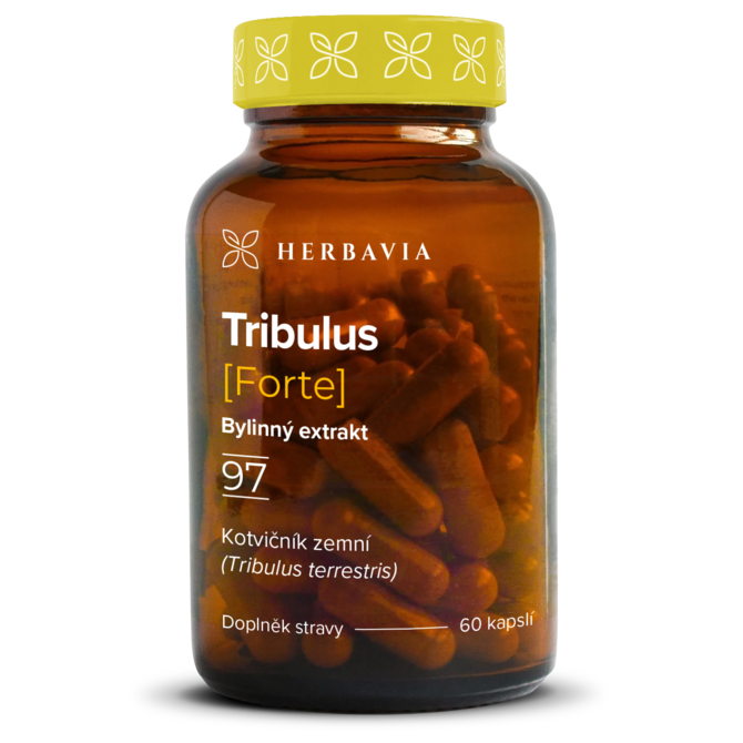 Tribulus forte -  bylinný extrakt 90% saponinů - 60 kapslí / Herbavia.cz